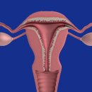 전원한의원 이미지
