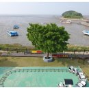 까멜리아 이미지