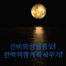 섬섬네일 티스토리