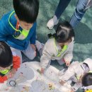 고양시립흰돌복지관어린이집