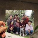 김상수 농장 | 단감효능, 지리산뜨레 부유단감 인터넷 구매 후기.