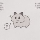 따봉발가락