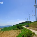 [강원/태백] 풍차와 하늘, 배추밭의 절경. 매봉산 풍력발전소 이미지