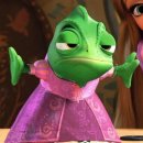 이호동물병원 이미지