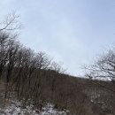 관문농장 이미지