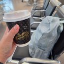번외 1. 짧고 가늘게 파리 여행 (1) (더블린공항-오를리공항/les duex magots/Tour Eiffel/L&#39;Howea/Pont...