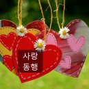 (사)한국뇌병변장애인인권협회 이미지