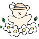 스테이 바미 이미지