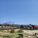 두화목장 이미지