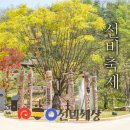 영주시청소년수련원 | 경북 영주 선비세상 한국선비문화축제 5월 축제 가볼만한 곳