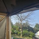 규리네밤하늘 이미지