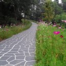 우산공원2 이미지
