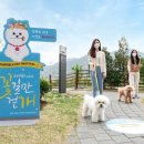 꽃길걷개 이미지