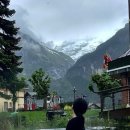 플라워민박 이미지