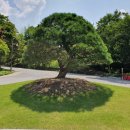 청남대 노래연습장 이미지