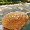 듀블레오빵 | 듀블레오빵 :: 분당 구미동 소금빵 찐맛집 솔직후기