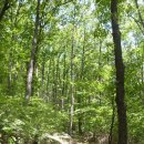 유천리 삼거리 이미지