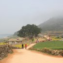 아리랑여인숙 이미지