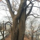 한강 (소망) 네이버블로그