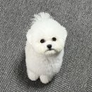 댕댕토피아 이미지