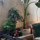 해뜨르다 이미지