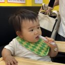 안양농협 관양지점 | 안양역 맛집 추천 양은이네 꼭 먹어봐야 할 오징어보쌈세트 찐후기