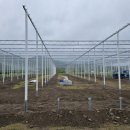 복실농장 이미지