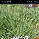 홍산횟집
