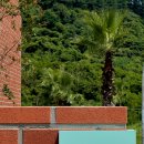 박하제주 이미지