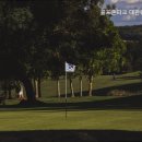 평창골프존 이미지