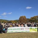 당진시 당진시장길 이미지