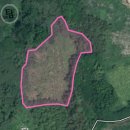 군동면사무소 이미지