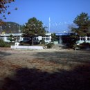 동산골 Daum카페