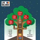 라이프밸런스 티스토리