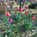 비로소433 이미지