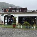 거북이동네외동