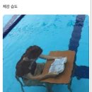 귀국 후 여름 일상🇰🇷