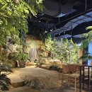 보타닉아덴1 이미지