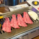 6980 | 후쿠오카 텐진 야키니쿠 맛집 깔끔하게 맛있는 하나비 2호점