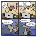 커뮤