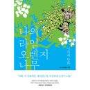 양철북 이미지