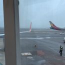 웰빙국내선약국 이미지