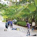 웰라이프환경 동행미디어 시대