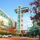 숲속아이 3 이미지