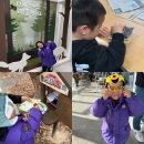 현북면 실내게이트볼장 | 대구 근교 가볼만한곳 영주 여행 한밤실마을 부석사 콩세계과학관 후기