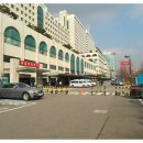 로시난테 이미지