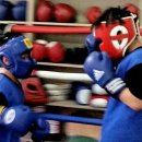 데이빗 복싱체육관 이미지