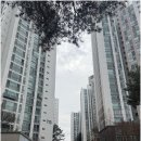 일성부동산중개 이미지