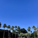 금호농협 | 제주 남쪽 숙소 추천 오션뷰 수영장 금호리조트 스위트 양실 후기