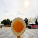 중국 상하이 편의점 추천 음료 과자 상해 세븐일레븐 먹거리 마트 쇼핑리스트